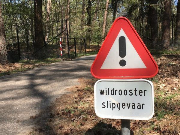Verkeersbord voor slipgevaar op wildrooster. Er is alleen geen wildrooster te bekennen.