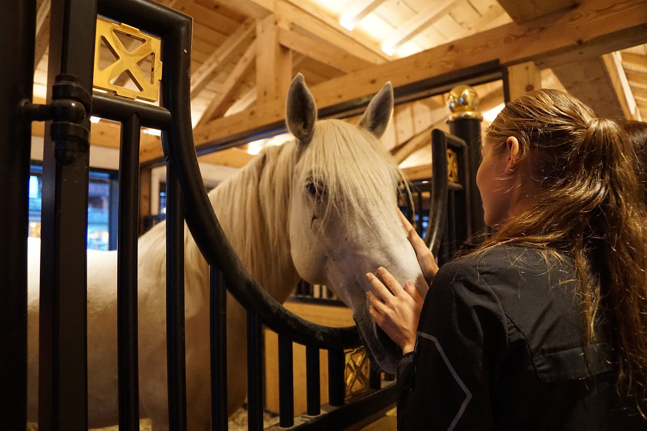 De manege moet in de meeste situaties uw letselschade vergoeden. Ook als er in de algemene voorwaarden staat dat de manege niet aansprakelijk kan worden gesteld voor ongelukken.
